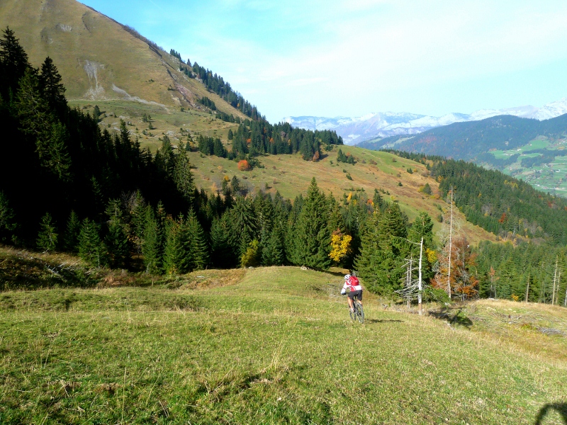 freeride : superbe rouler librement