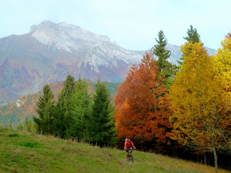 couleur : montée colorée