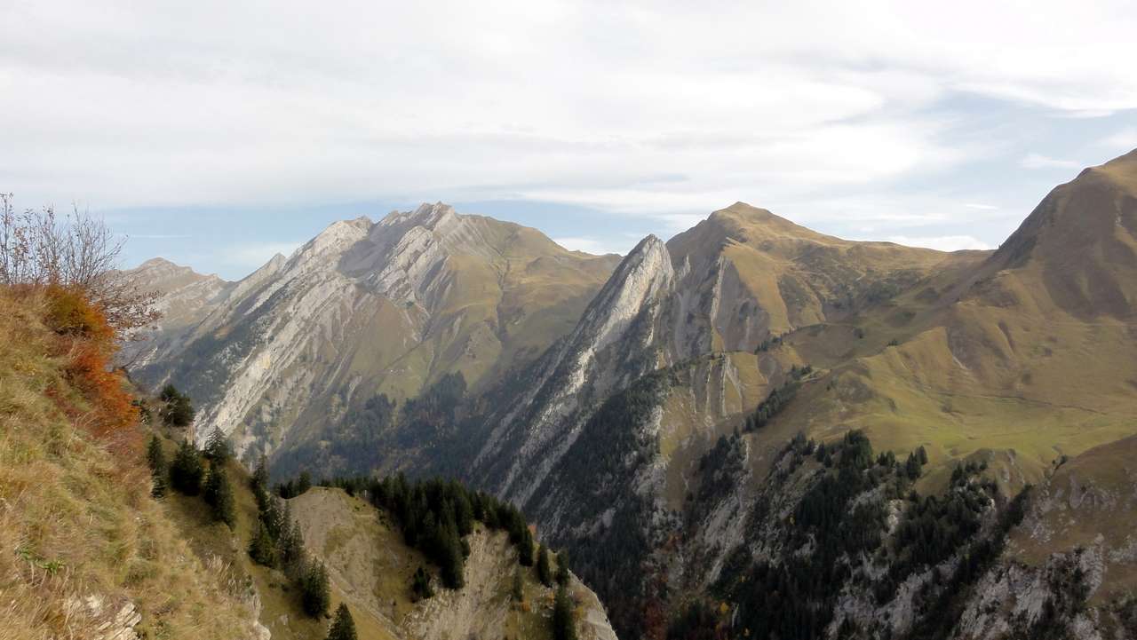 beau paysage : Etale et Mandallaz
pour l'instant on s'occupe du paysage