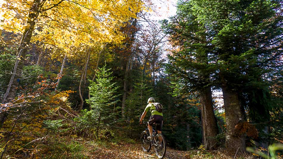 #12 Sentier des Fontanettes : avant les 900m de D-, bien agréables Sentier des Fontanettes : avant les 900m de D-, bien agréables