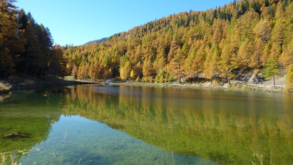 lac de Pramol : un pur reflet melezesque !