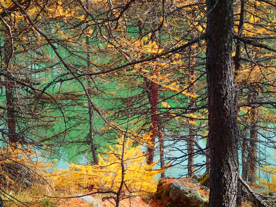 Lac de Pramol : Pas encore en glace