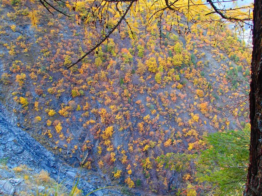 Combe Noire : Des belles couleurs sur les forêts de feuillus