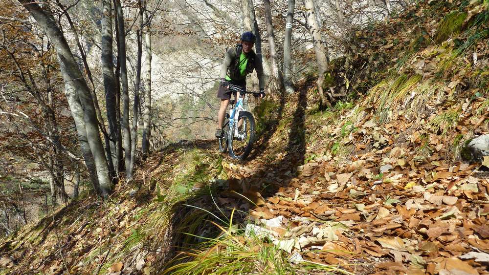 #13 Feuilles mortes : le sentier est comme ça de haut en bas Feuilles mortes : le sentier est comme ça de haut en bas