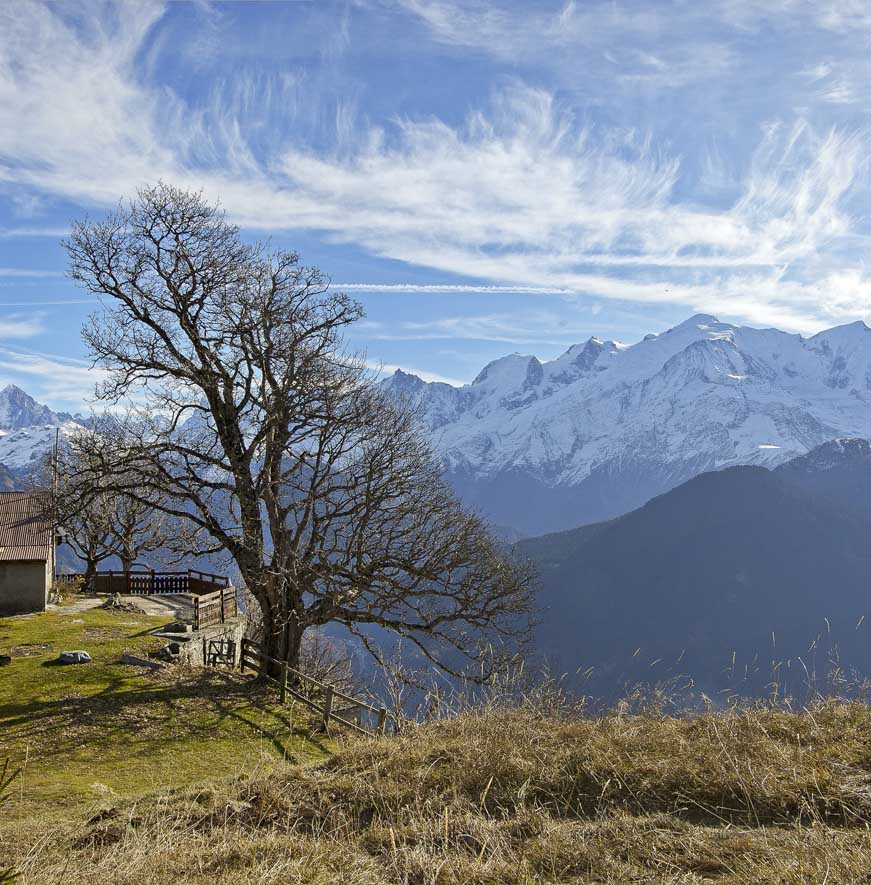 Chalets de Varan : Idem