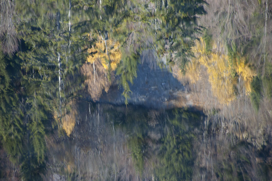 Lac Vert : Reflets dans le lac