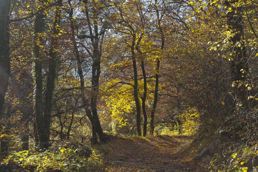 #13 Chedde : Descente sur Chedde, paysage d Chedde : Descente sur Chedde, paysage d'automne