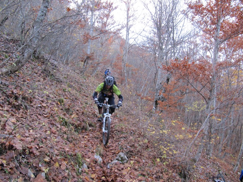 Col de Rigaudon : Descente par le GR 510