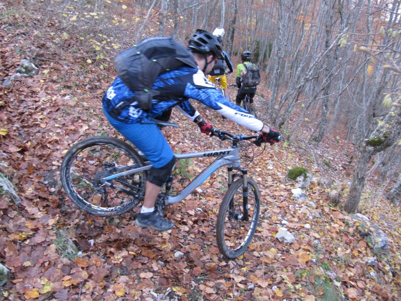 Col de Rigaudon : et ses épingles feuillues !!!