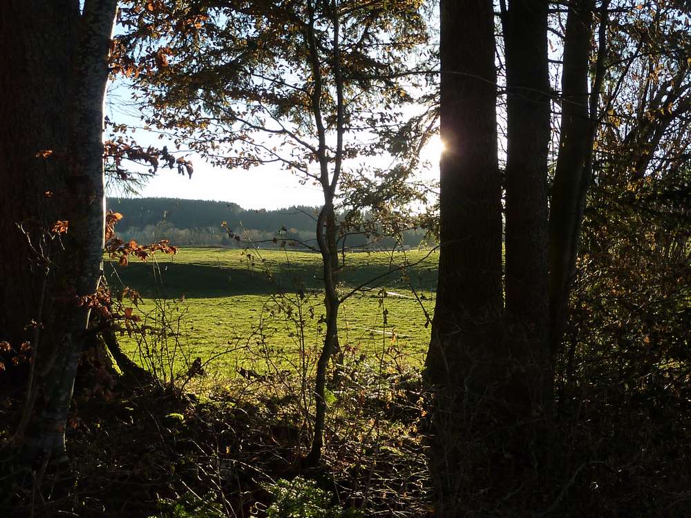 #7 lumiere d lumiere d'automne : ambiance singuliere