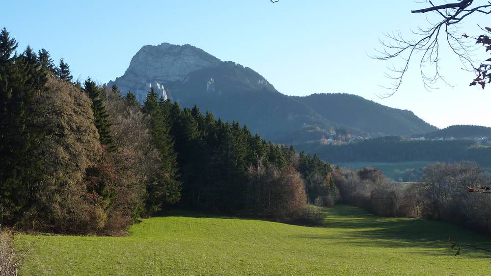 #8 Moucherotte : le sentier botanique pour la prochaine fois Moucherotte : le sentier botanique pour la prochaine fois