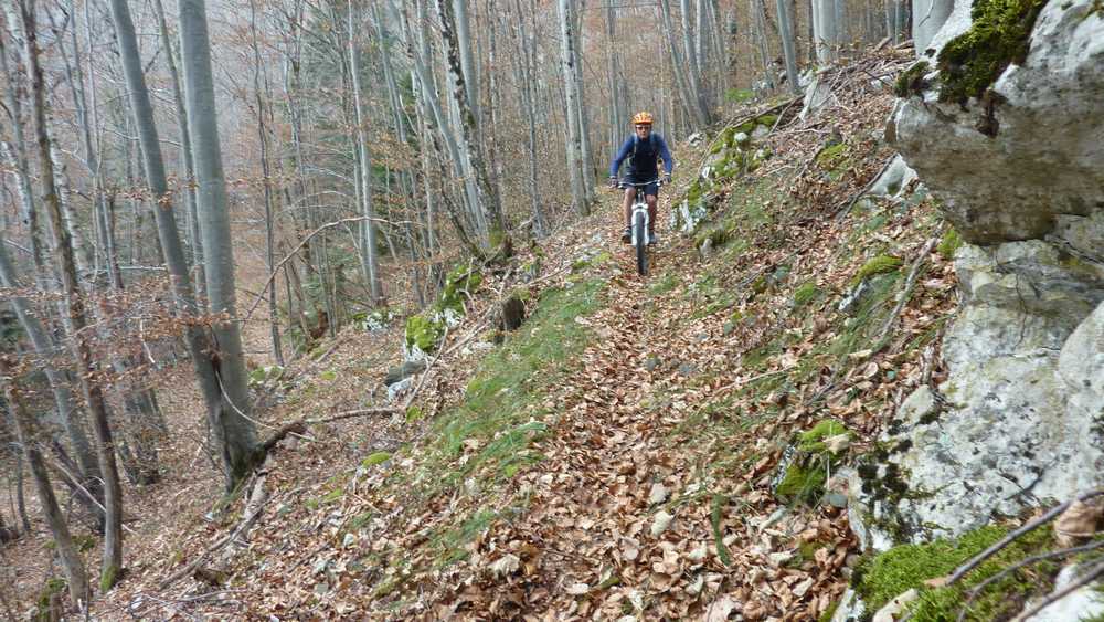 Tapis de feuilles : en dessous, ça déroule !