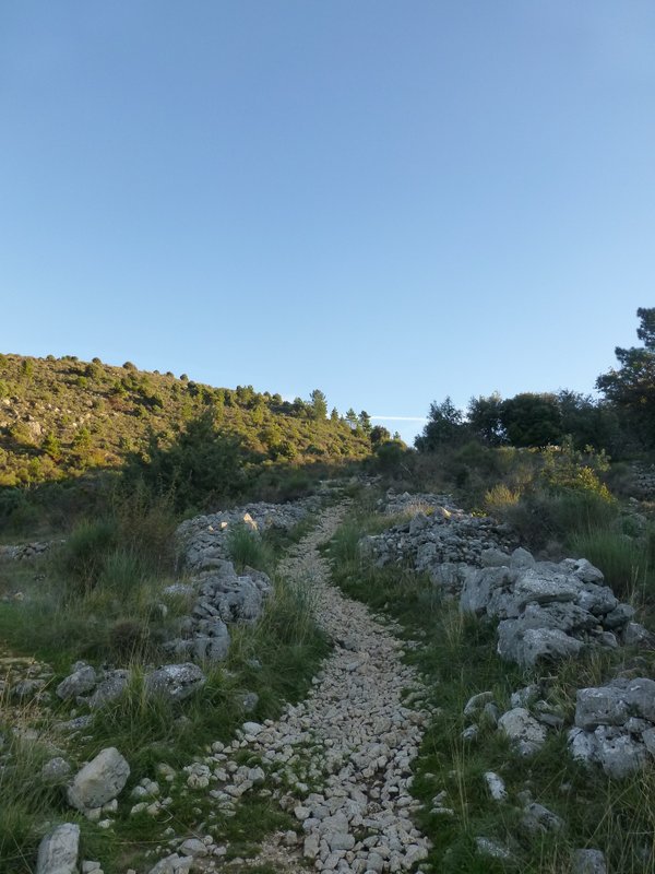 #5 GR 5 : Poussage sur le GR5 GR 5 : Poussage sur le GR5