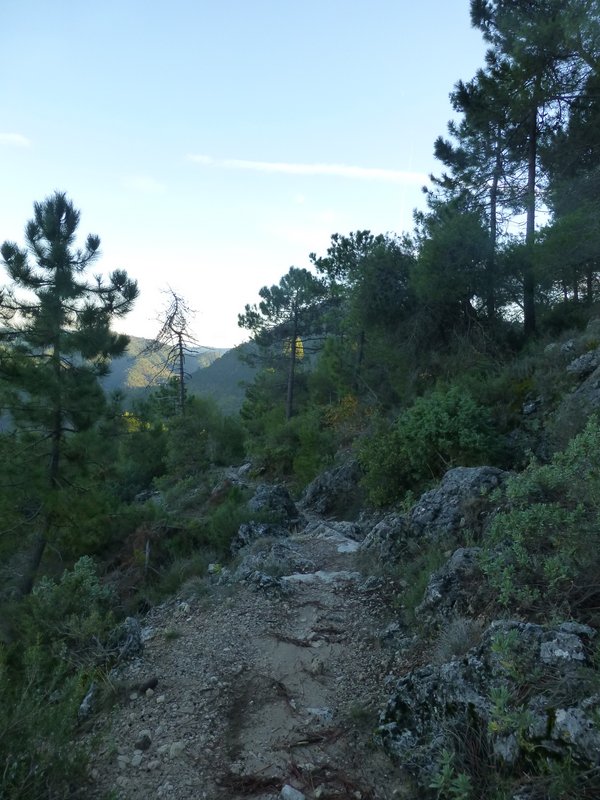 #4 Le Chenil : Sentier court mais sympa Le Chenil : Sentier court mais sympa