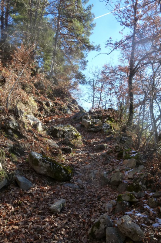 #5 Après Sarzit : Un chemin qui alterne portage et très bon roulage jusqu Après Sarzit : Un chemin qui alterne portage et très bon roulage jusqu'au point 1305
