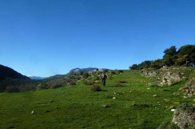 #8 Verte prairie : bucolique Verte prairie : bucolique