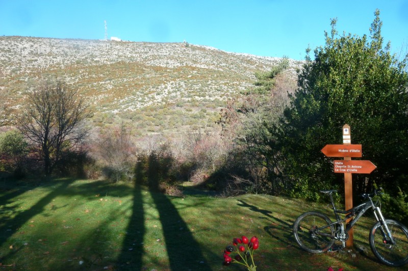 la Madonne vu d'en bas : c'est passé 50/50 .. mais le meilleur et le plus beau sont à venir ..