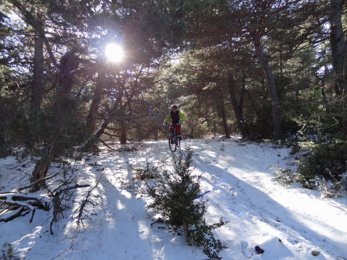 Retour à Trigance : Joli sous-bois enneigé.