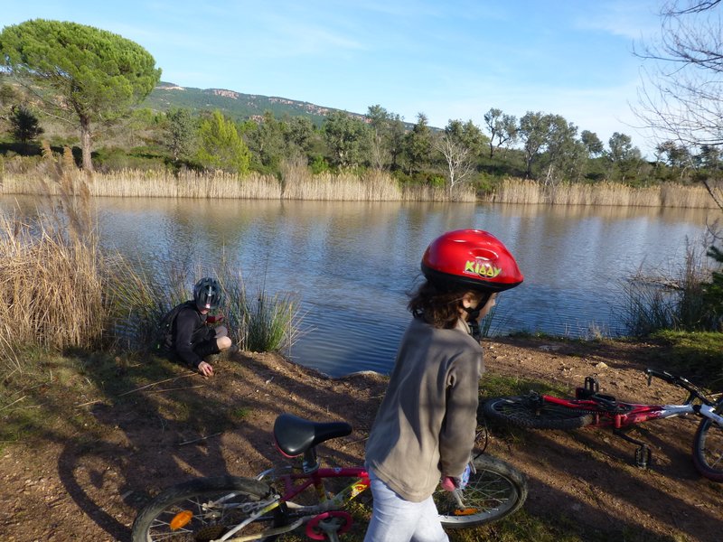 #2 Pause au bord d Pause au bord d'un petit lac : Nous avons vu 3 canards