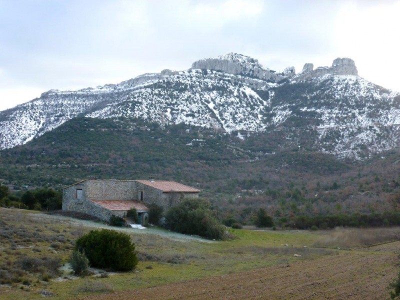 #2 bergerie de Roussargue bergerie de Roussargue