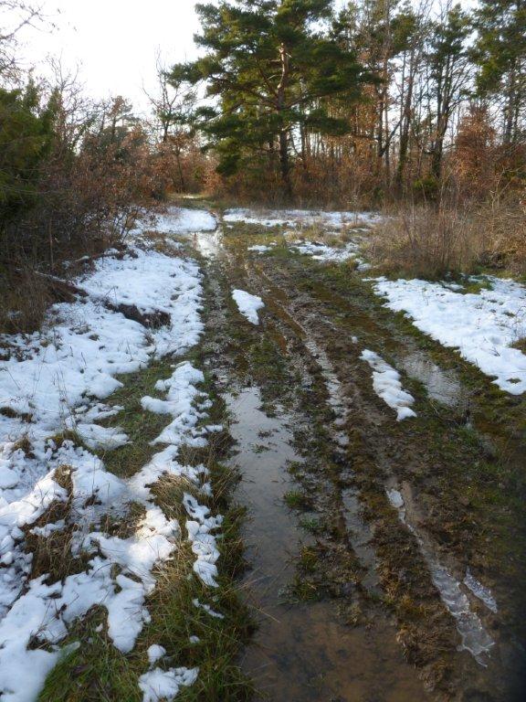 #8 et quand la neige fond c et quand la neige fond c'est pas mieux