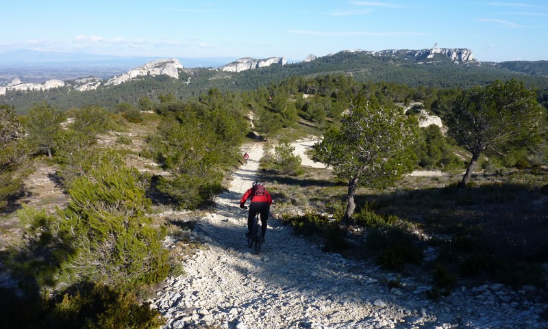 #1 Lumière du sud : sur les Alpilles Lumière du sud : sur les Alpilles