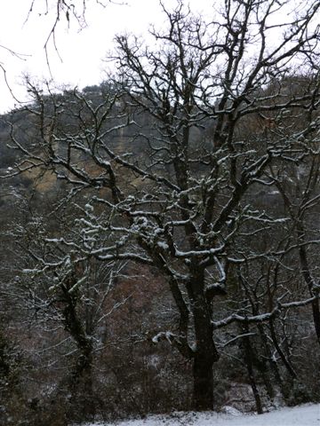 #7 il neige toujours... il neige toujours...