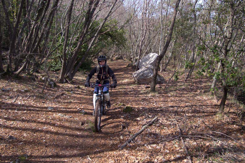 Flanc est du Mt Agel : passage dans la forêt.