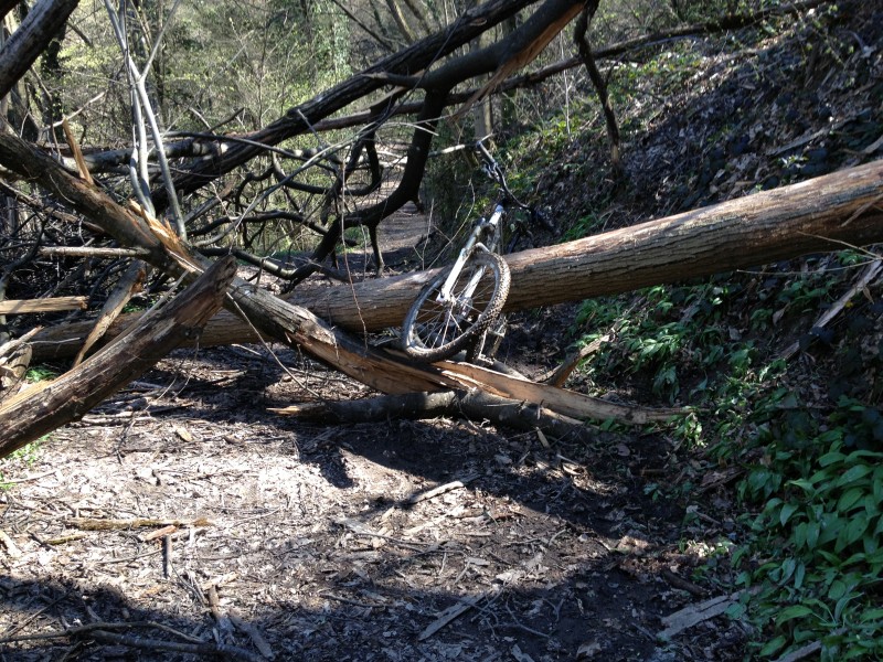 #1 Obstacles naturels : Arrêt obligatoire! Obstacles naturels : Arrêt obligatoire!