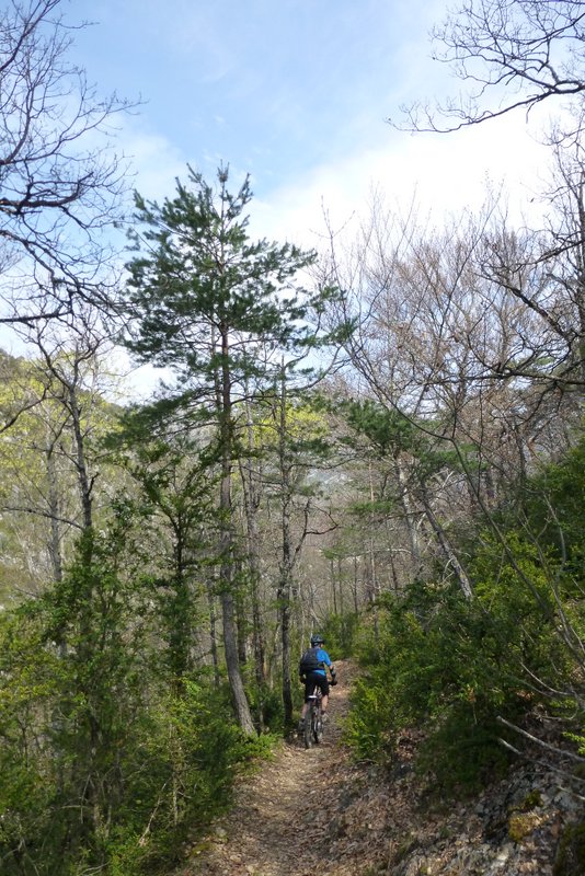 Descente sur le Pont : Magnifique