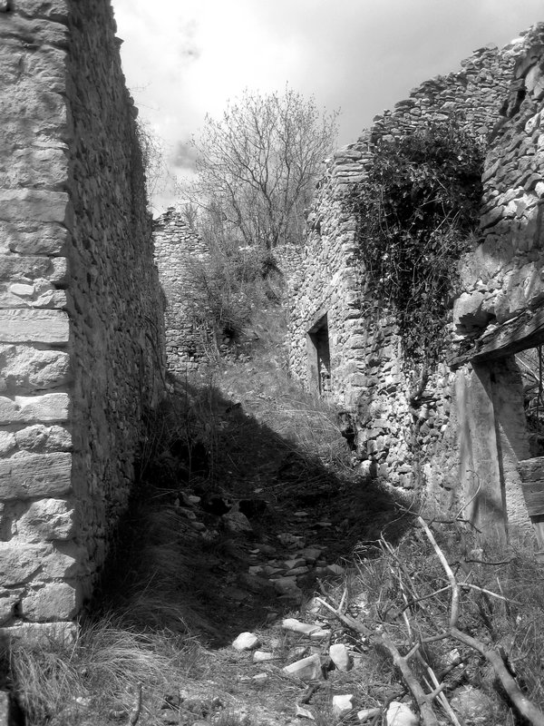 Serre la souche : Vraiment sympa ce village