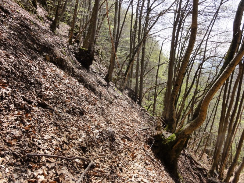 #6 beau sentier : roulant, pas devers, bien quoi beau sentier : roulant, pas devers, bien quoi