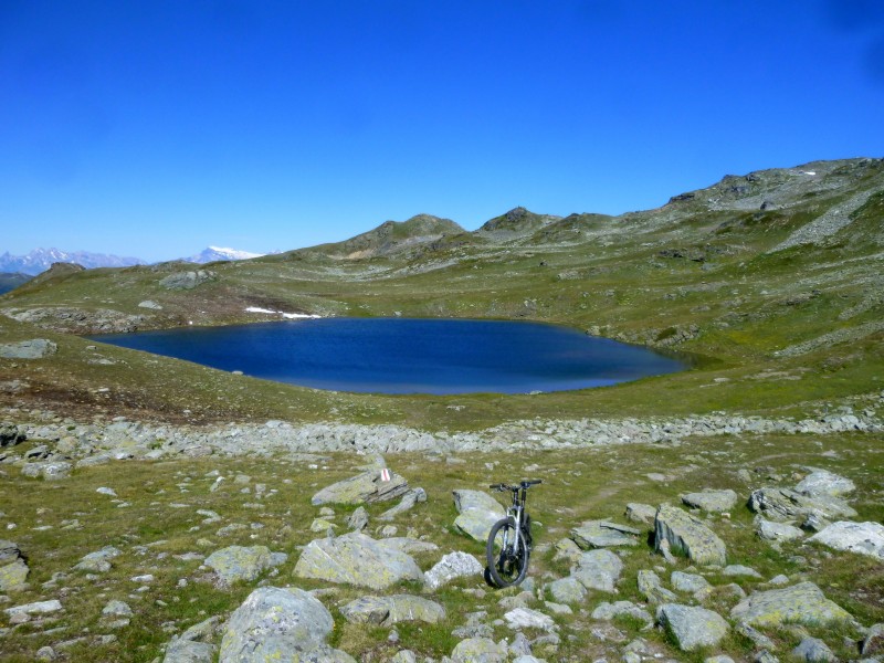 lac de l'Armina : très bel alpage, peu de monde