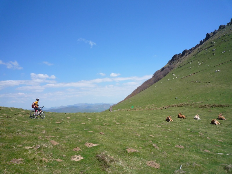 #7 Pied de Mendaur : Descente à gauche Bonus à droite Pied de Mendaur : Descente à gauche Bonus à droite
