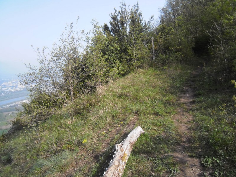 #7 La suite : Y a pire comme sentier La suite : Y a pire comme sentier