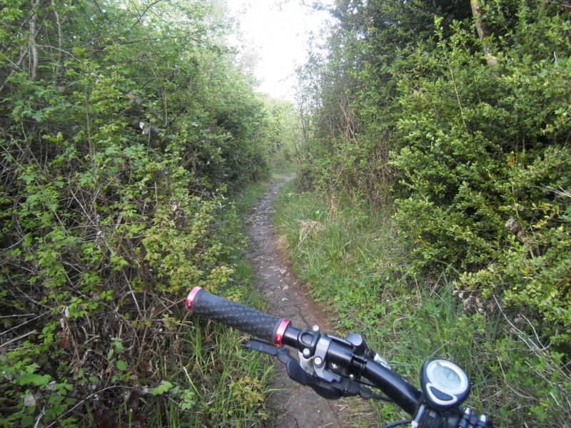 #2 Le premier sentier : Début de la récréation. Le premier sentier : Début de la récréation.