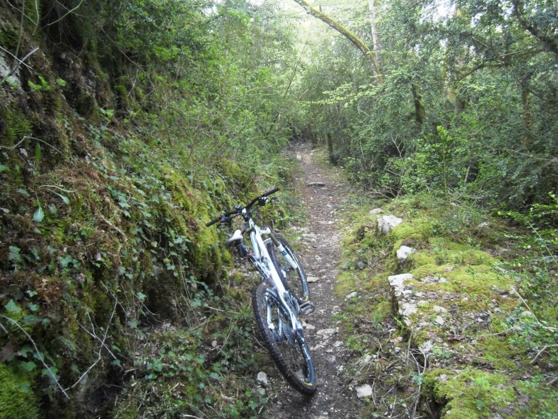 #3 Le premier sentier 2 : La suite Le premier sentier 2 : La suite