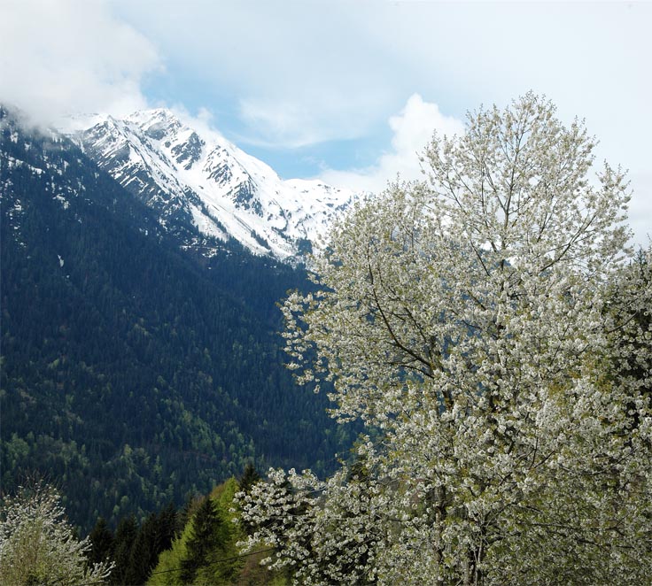 Bisanne : Hameau du Manon