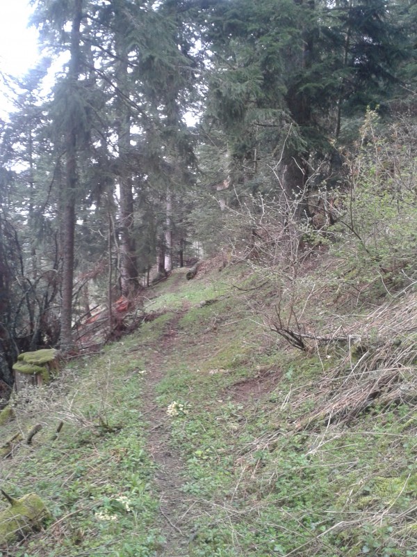 #3 Pieds gros : Première partie du sentier bien roulante Pieds gros : Première partie du sentier bien roulante