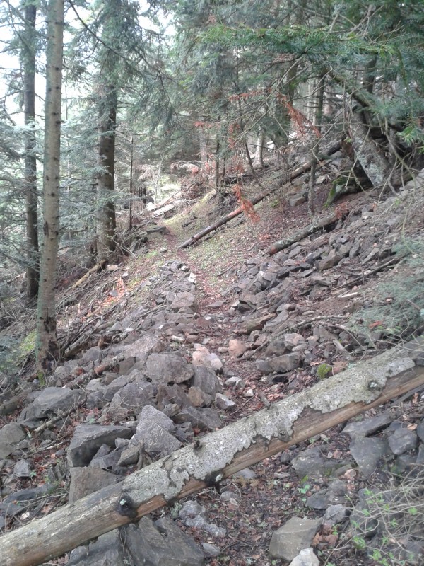 #4 Pied Gros : La suite du sentier qui n Pied Gros : La suite du sentier qui n'est pas dans la base, beaucoup de travail