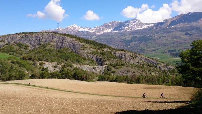 #2 Fein : ... entre les Champs Fein : ... entre les Champs
