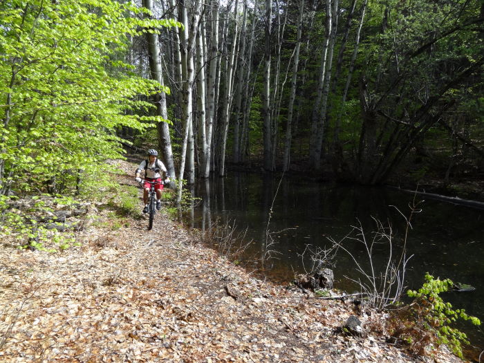 #3 Mare en forêt d Mare en forêt d'Annot : D'habitude c'est sec ici.