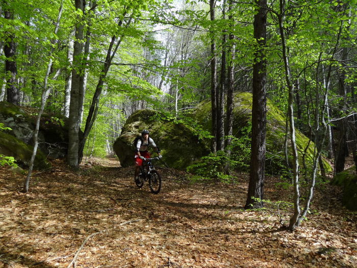 #5 Forêt d Forêt d'Annot : Un hymne au VTT.