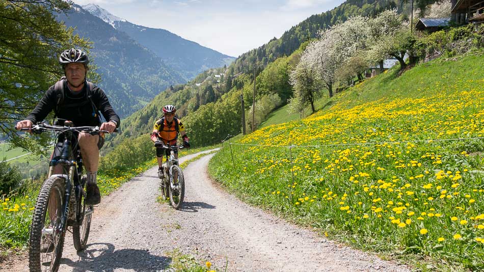 #12 si si c si si c'est le printemps : la preuve en image