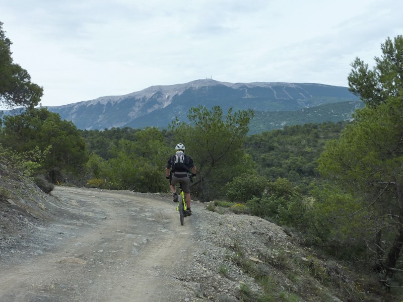 En allant à Plaisians : Piste bien roulante avec la face nord du Ventoux en décor de fond