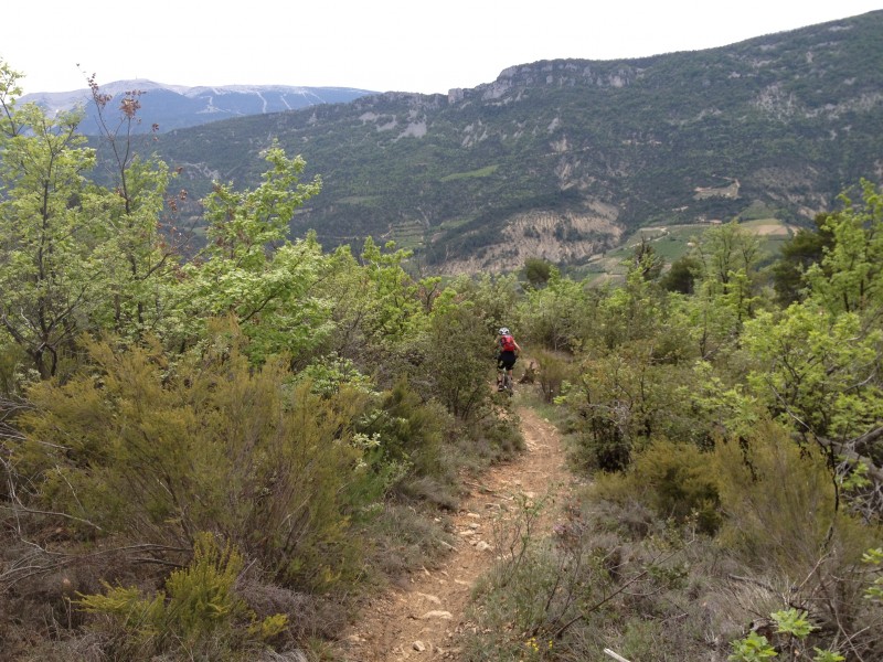 Fontra : Excellent monotrace aux pieds du Ventoux