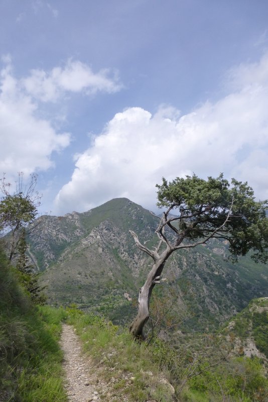 #18 Sentier de retour : Miam Sentier de retour : Miam