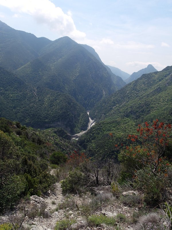 en traversée vers la RN202 : le Var coté Sud dans cette vallée si encaissée avec la route et les tunnels