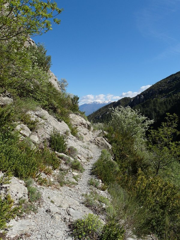 Mont-Vial : se mélant à des très passages sur le bike