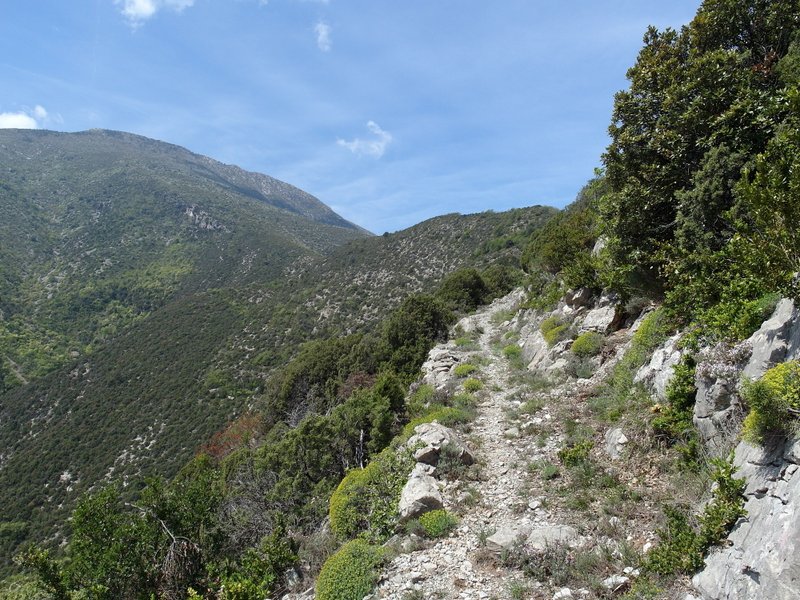 #24 en traversée vers la RN202 : Vue arrière sur ce superbe single en traversée vers la RN202 : Vue arrière sur ce superbe single